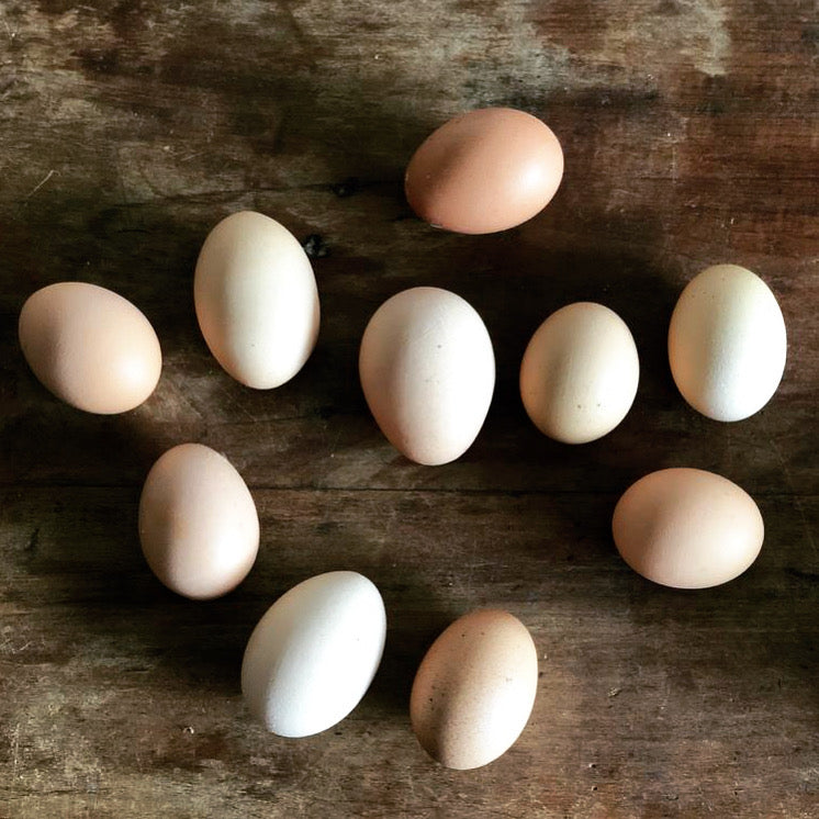 Huevos de Campo (12 Unidades)
