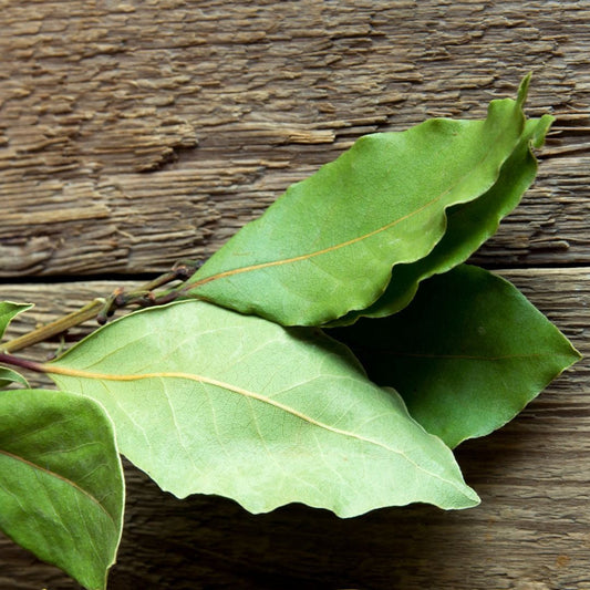 Laurel (45g)