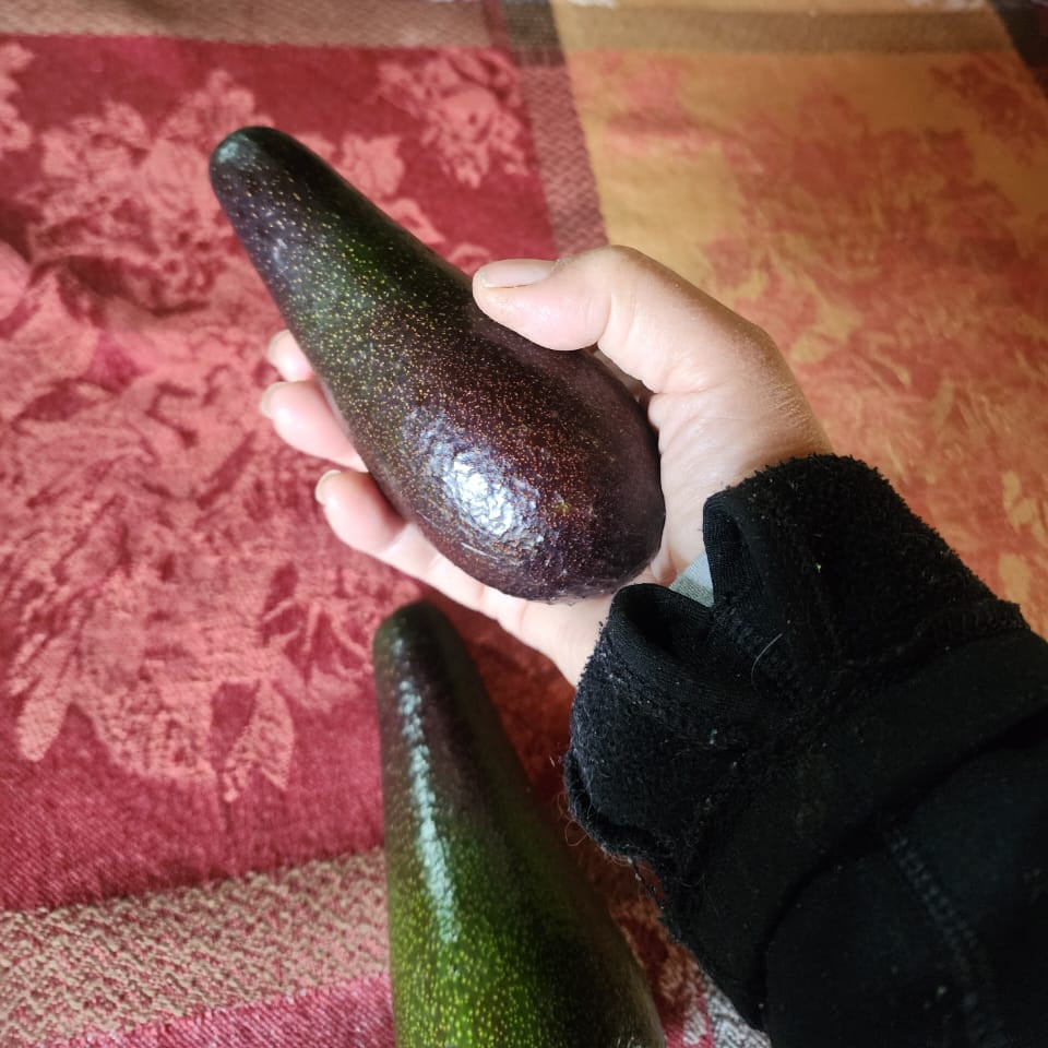 Palta Chilenísima (1kg)