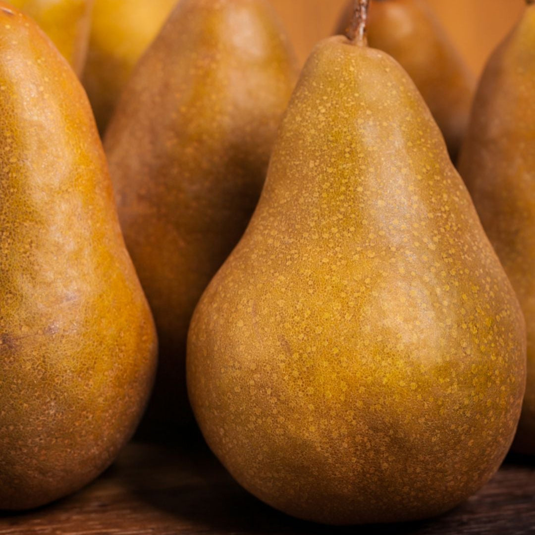 Tuti Fruti de Temporada
