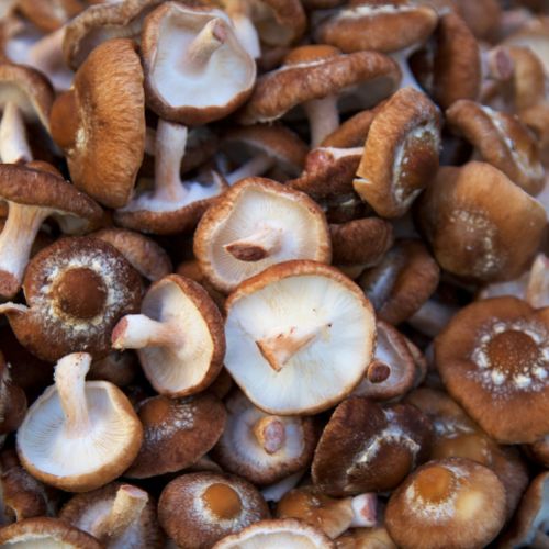 Shiitake (150g)