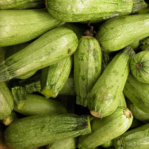 Zapallo Italiano Baby (Unidad)